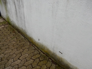 Renovier+Aussbesserung aussen3).JPG